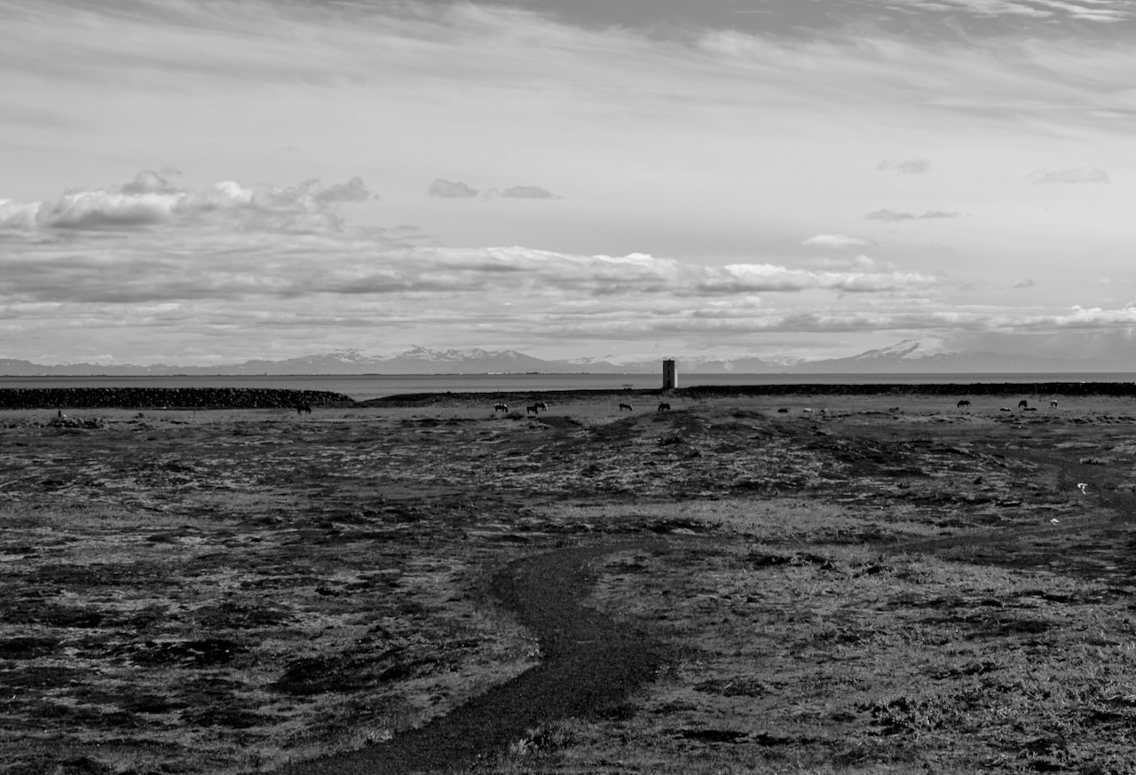 A black and white landscape photo of a lonely tower standing at the end of the road, there are some animals grazing around it, clouds seem to be stretching far. The road seems gravel and barely used.